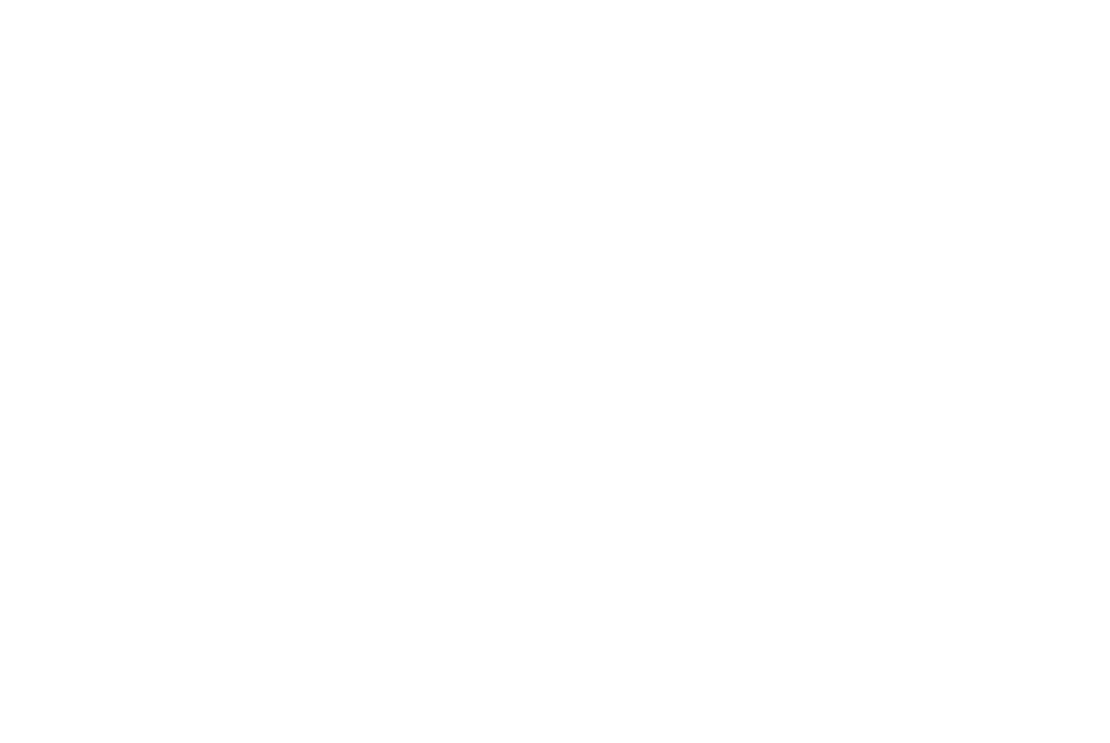 Bison Ford 2019 Model Sell Down Sales Event Bison Ford 2019 Model Sell Down Sales Event