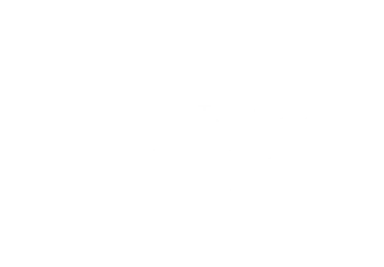 Lincoln 100th Years