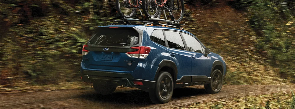 Forester driving through the woods