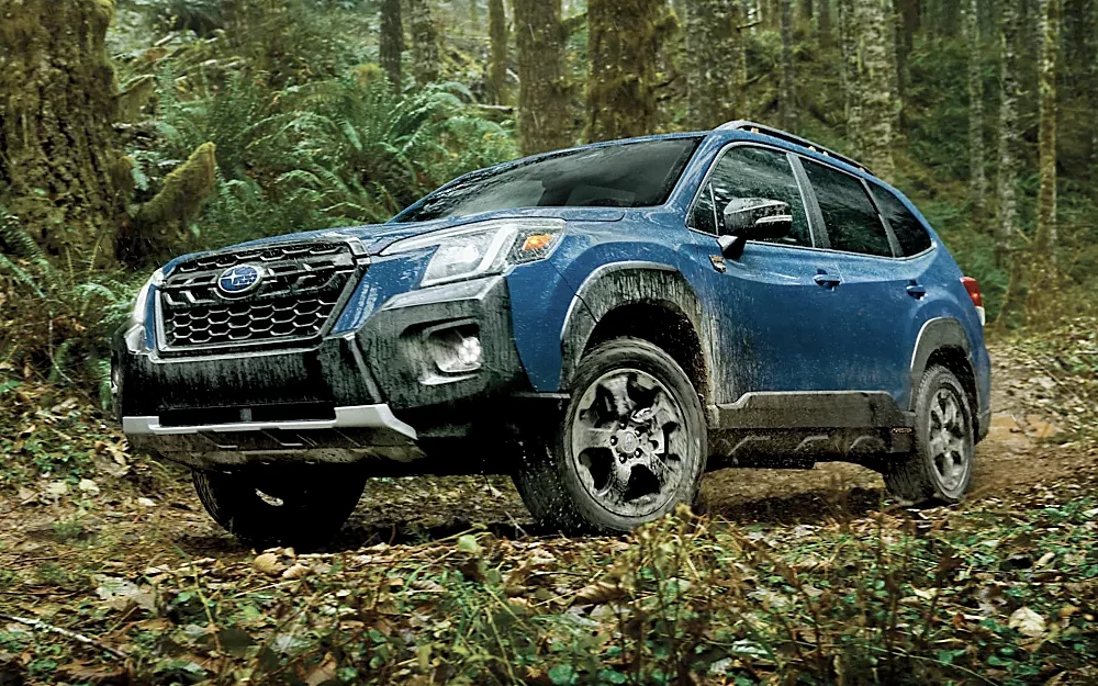 Forester parked in the woods